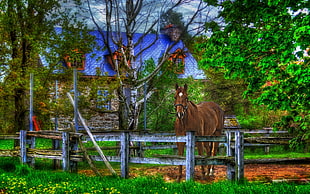 colored painting of brown horse beyond gray wooden fence